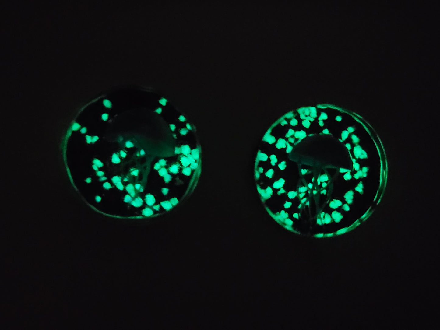 Glow in the Dark Glass Plugs - Glowing