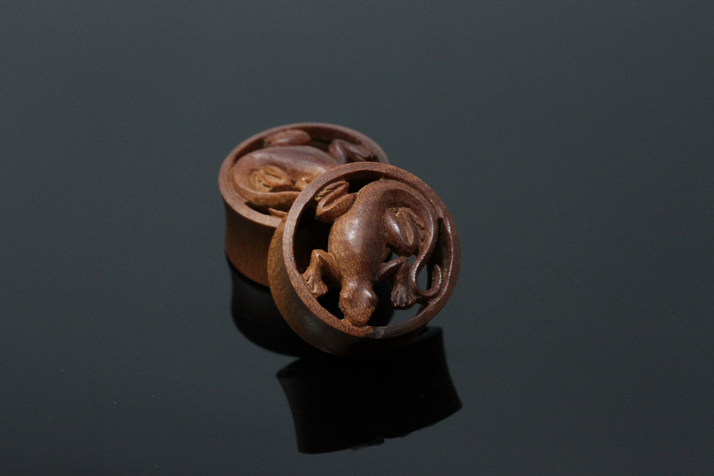 Unique Lizard Tunnels Stretched Ears