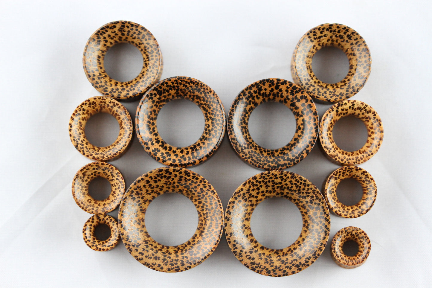 Spotted Wood Tunnels