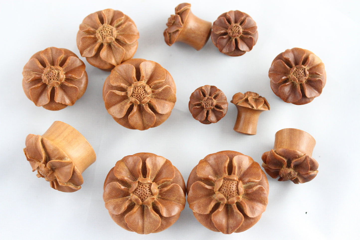 Sunflower Wood Plugs - Group