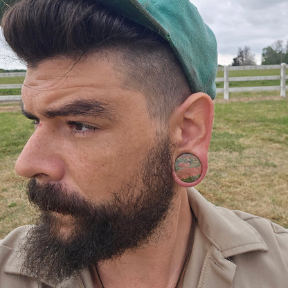 Unakite Stretch Plugs - Double Flare Unakite Stone Plugs (Pair) - PH35