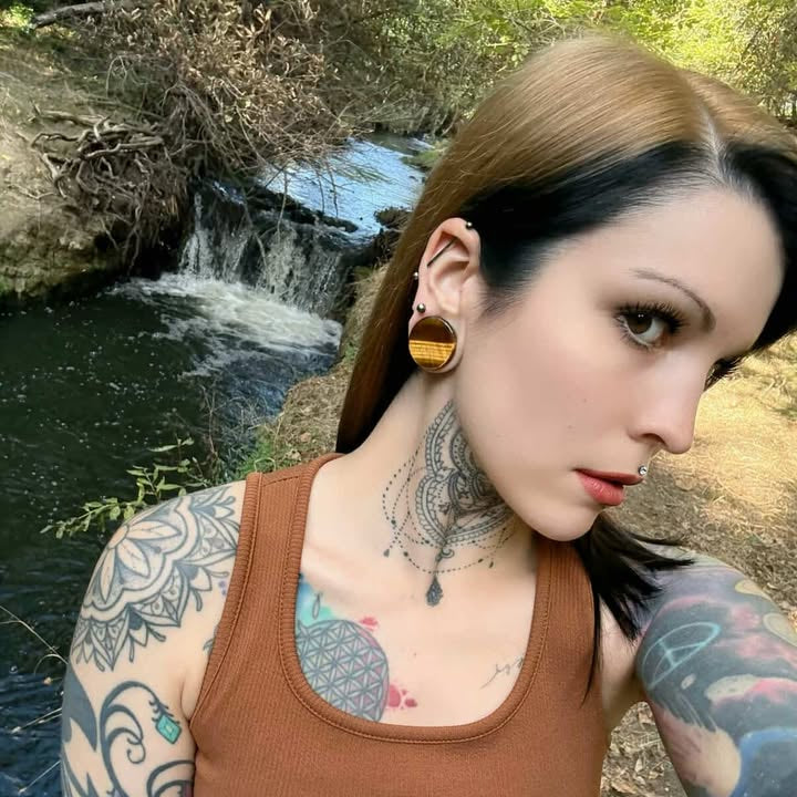 Tiger Eye Plugs (Pair) - PH29