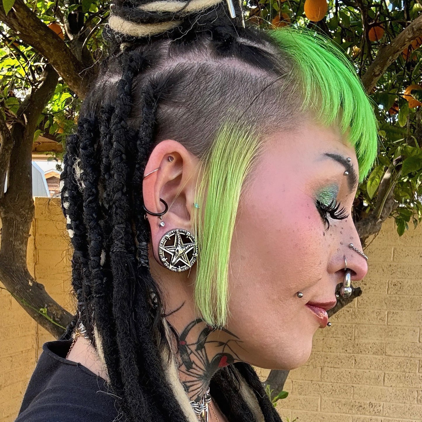 Baphomet Pentagram Stainless Steel Tunnels - Screw on Tunnel (Pair) - PSS14