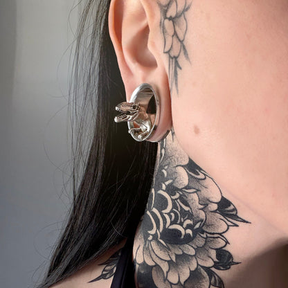 dinosaur gauges tunnels