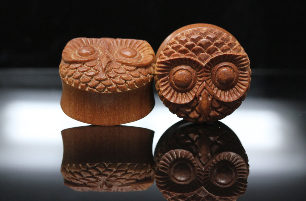 Owl Hand Carved Wood Plugs (Pair) - PA11