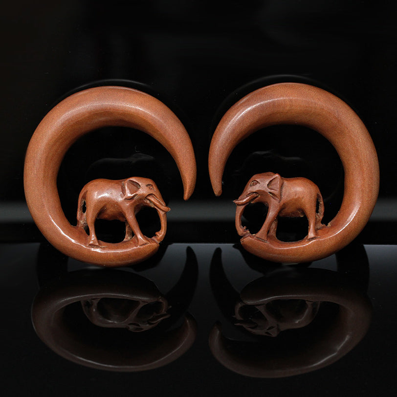 elephant plug stretched ears