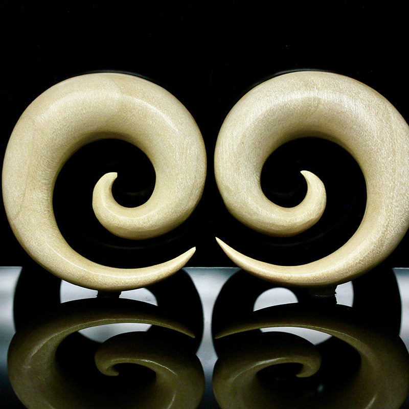 Ear Gauge Spirals