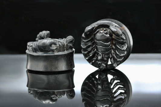 Scorpion Wooden Plugs - Hand-Carved Plugs (Pair) - PA155