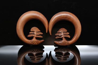 Bonsai carved wood stretching hangers (Pair) - A038