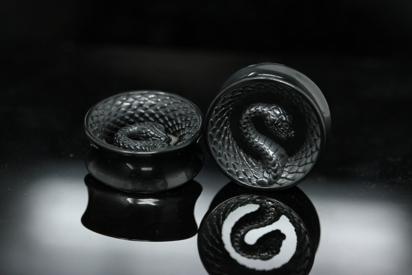 Serpent Coil Plugs - Stainless Steel Plugs - (Pair) - PSS262