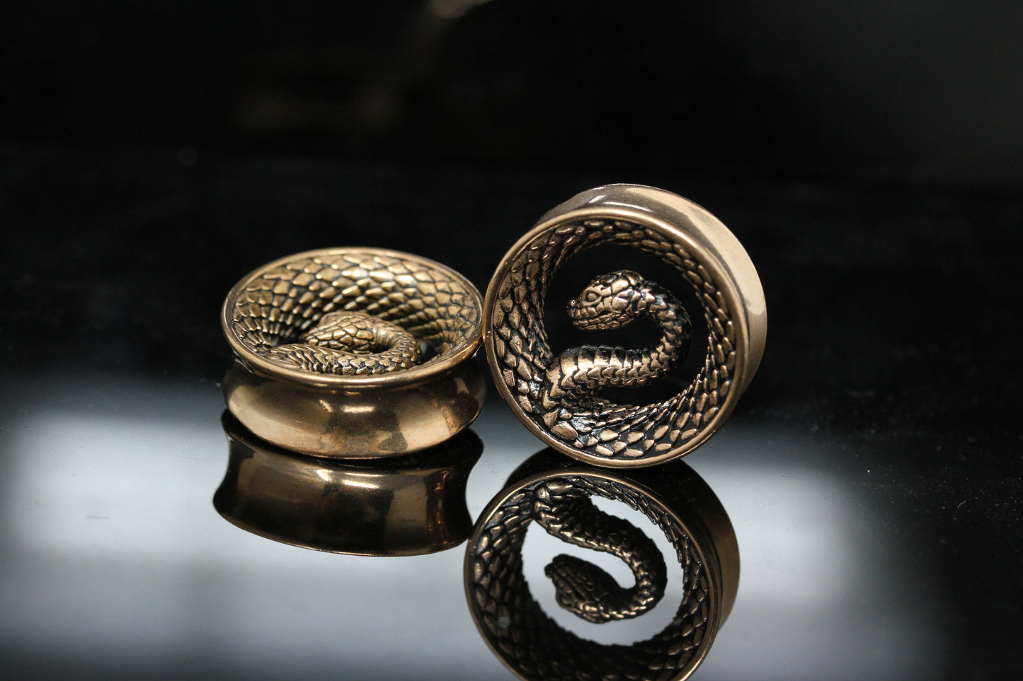 Serpent Coil Plugs - Stainless Steel Plugs - (Pair) - PSS262