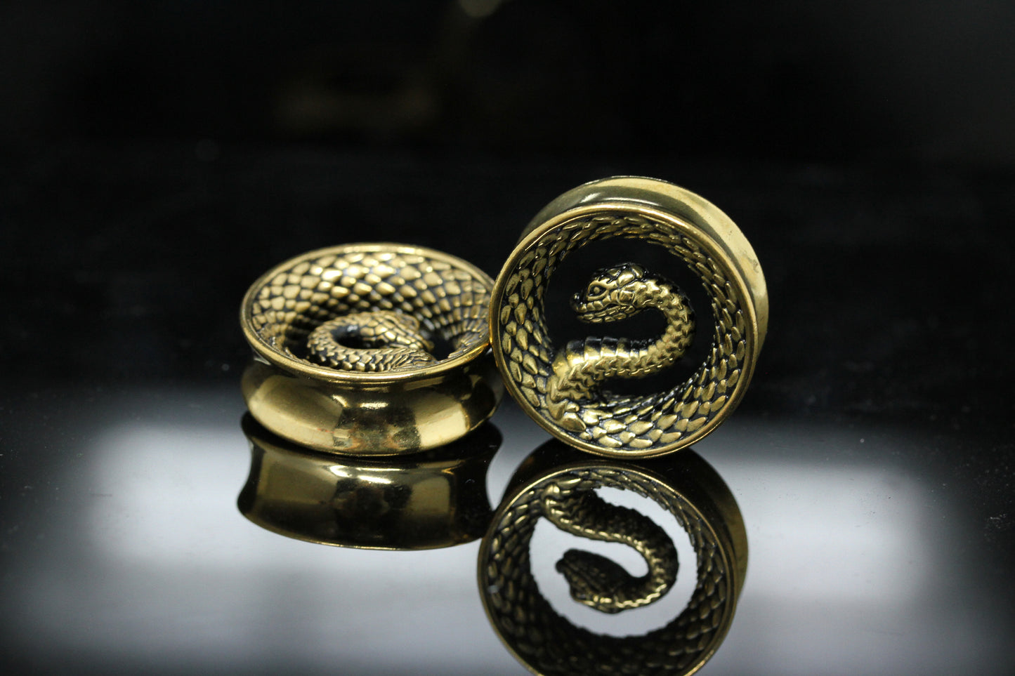 Serpent Coil Plugs - Stainless Steel Plugs - (Pair) - PSS262