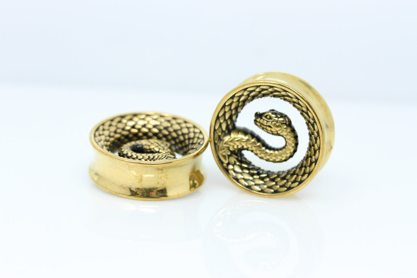 Serpent Coil Plugs - Stainless Steel Plugs - (Pair) - PSS262