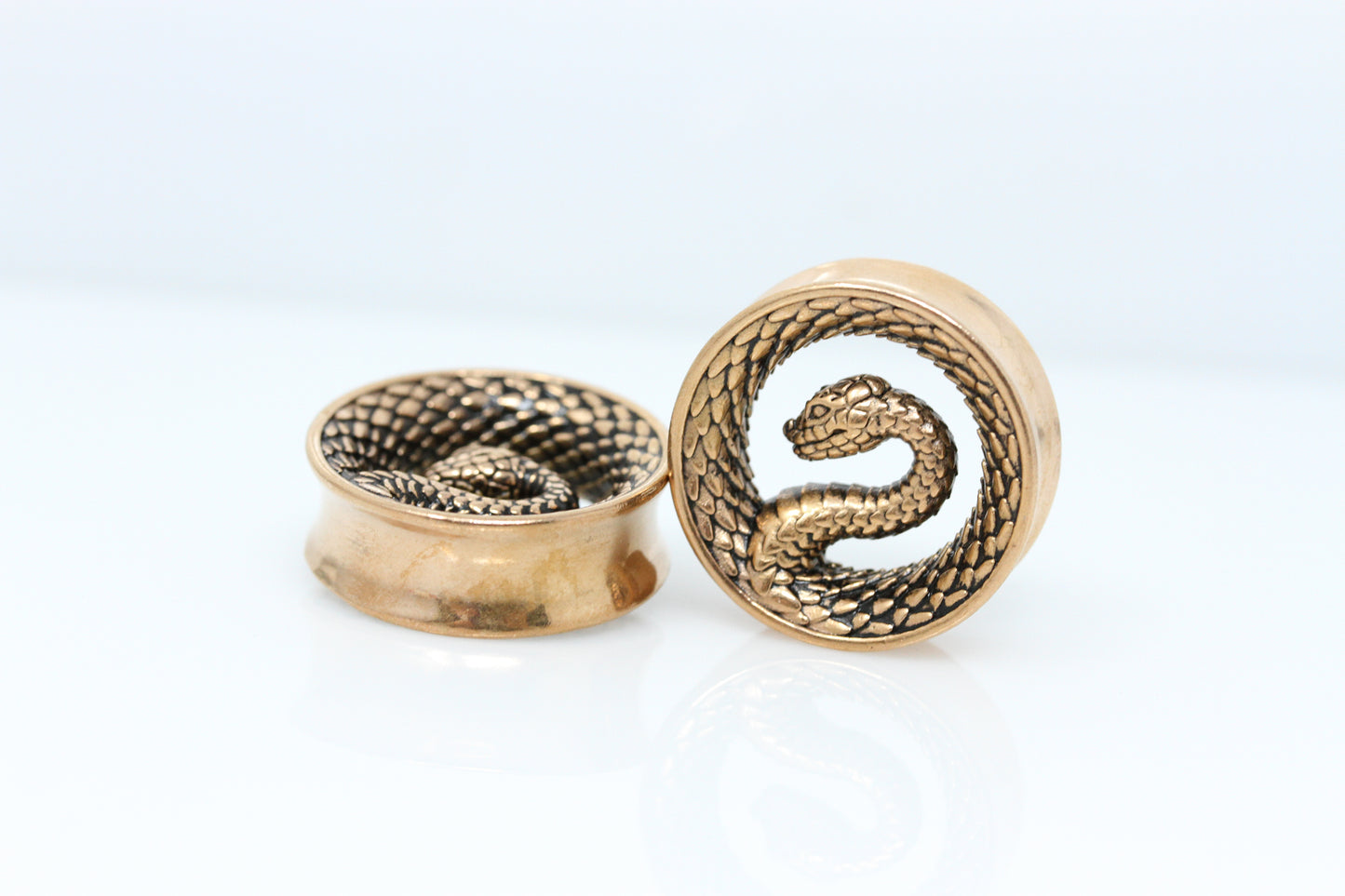 Serpent Coil Plugs - Stainless Steel Plugs - (Pair) - PSS262
