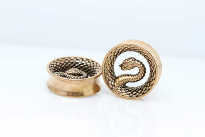 Serpent Coil Plugs - Stainless Steel Plugs - (Pair) - PSS262