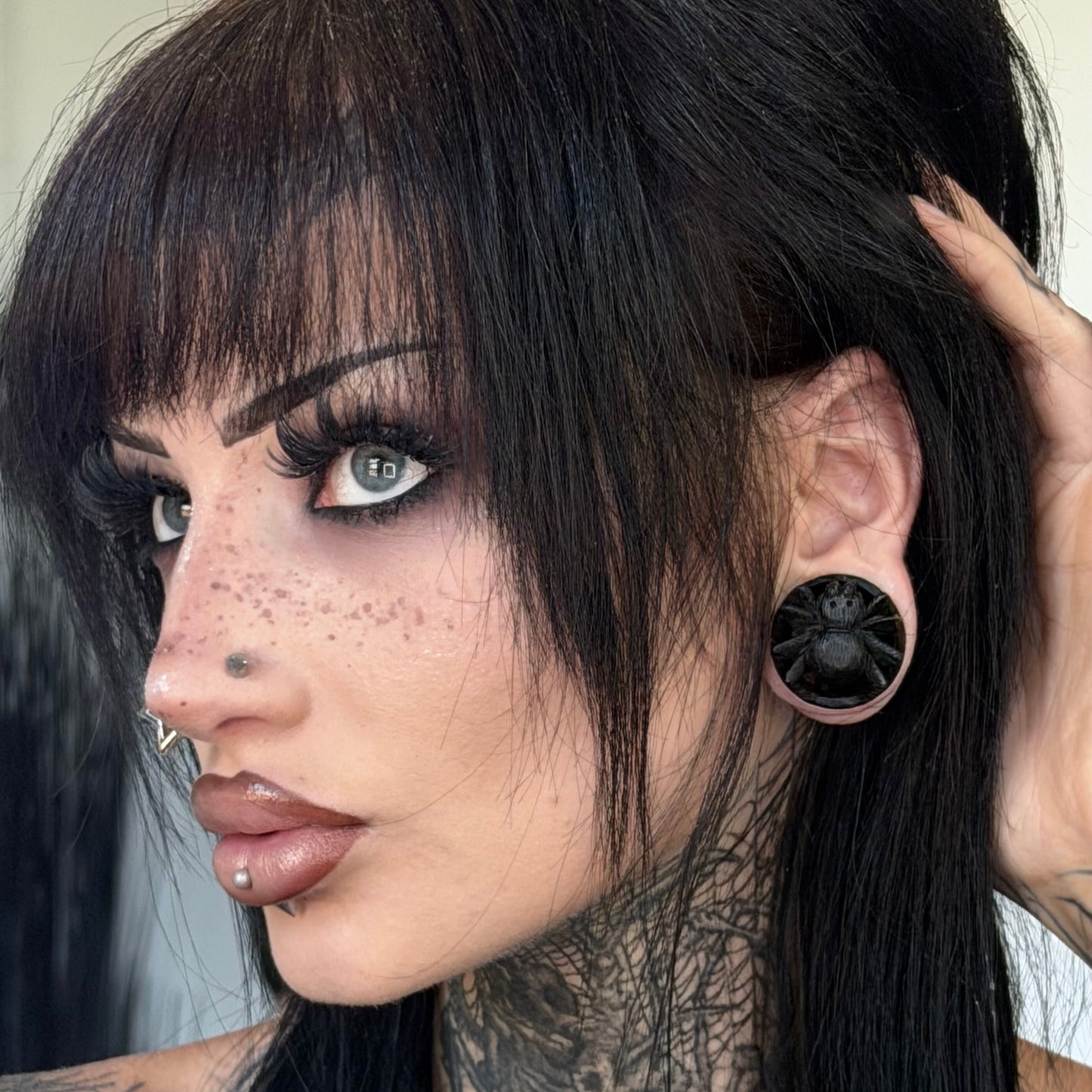 Black Spider Wooden Plugs - (Pair) - PA119