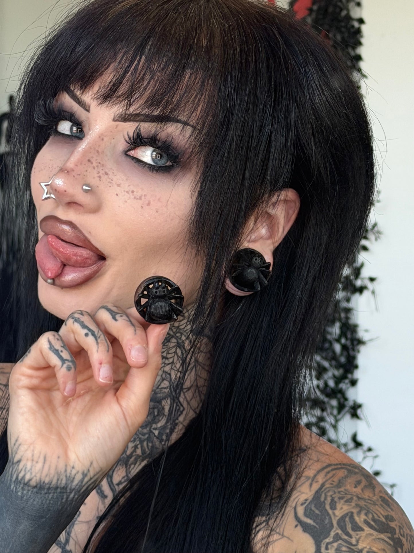 Black Spider Wooden Plugs - (Pair) - PA119
