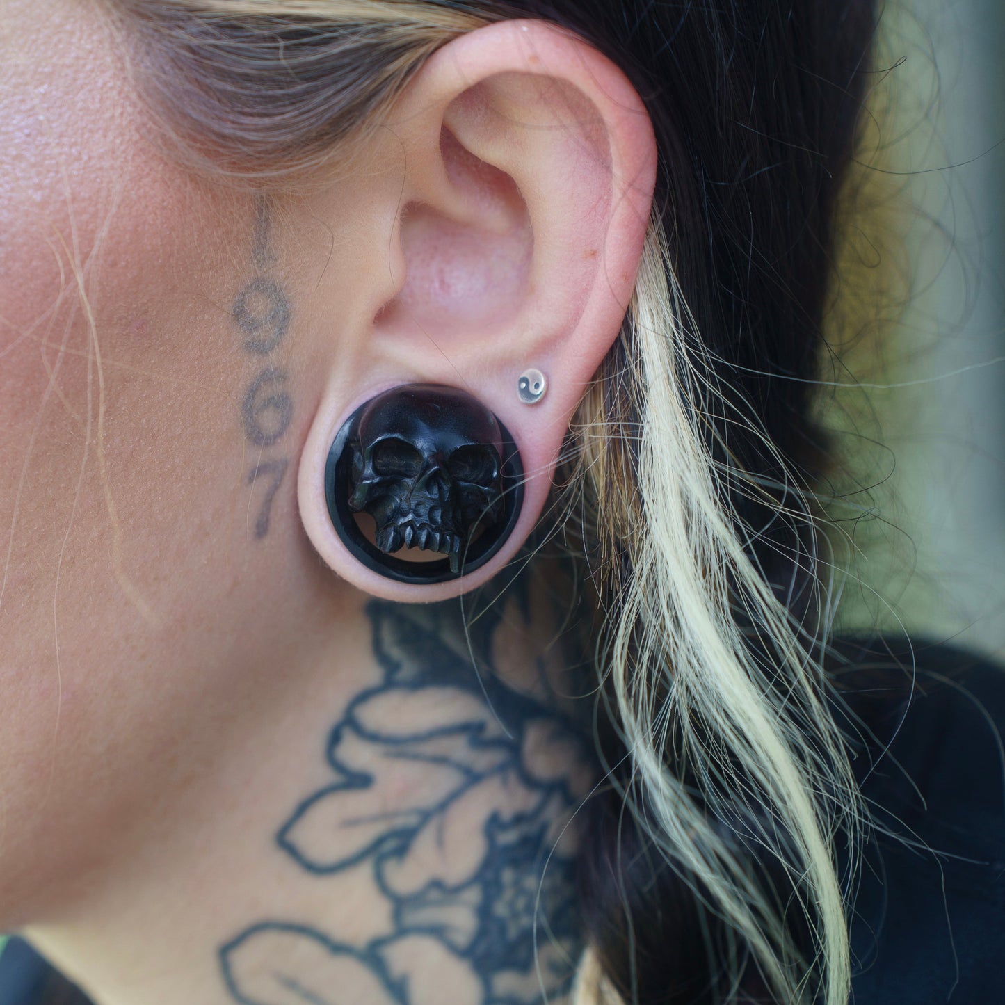 Areng Wood Vampire Skull Tunnels - Carved Areng Wood Plugs (Pair) - PA92