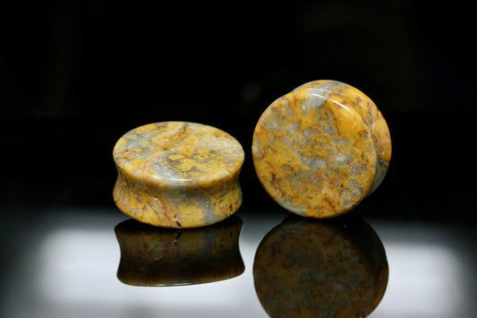 Crazy Yellow Lace Agate Plugs for Stretched Ears (Pair) - PH154