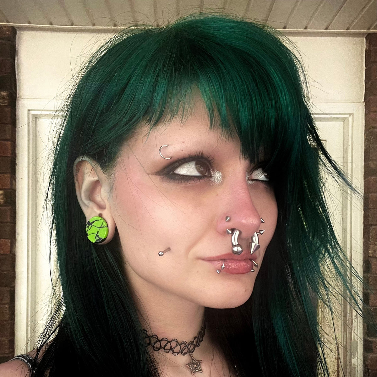 Franken Plugs for Stretched Ears (Pair) - PH176