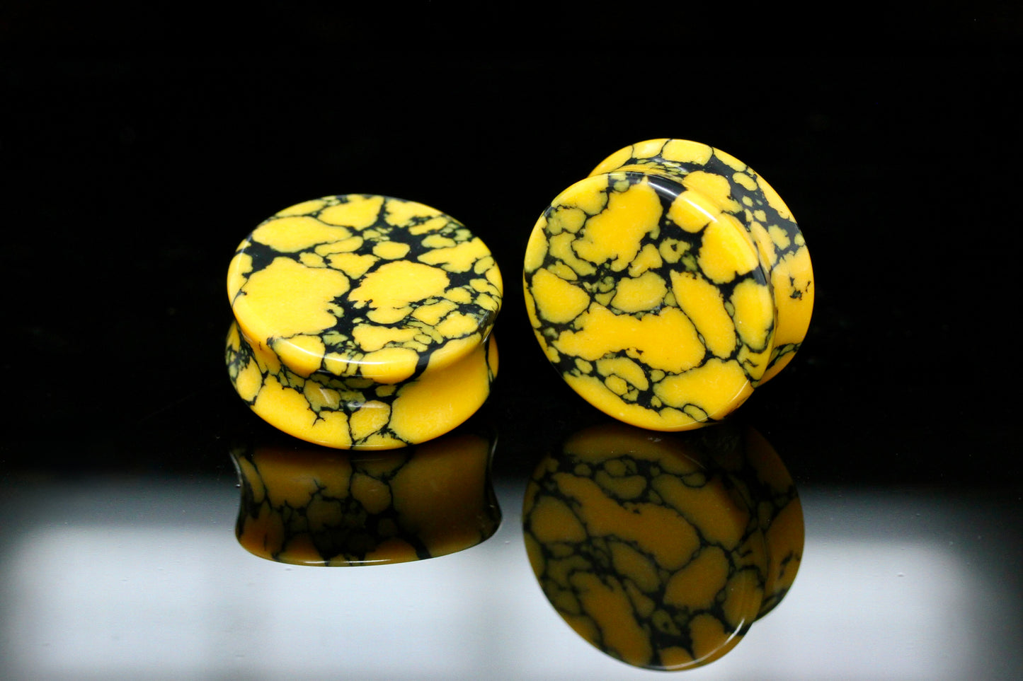 Biohazard Plugs for Stretched Ears (Pair) - PH205