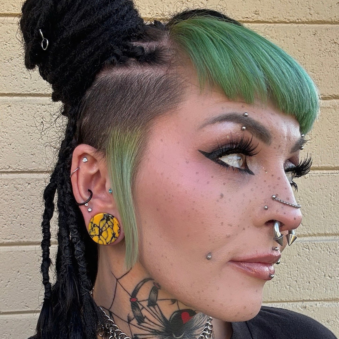 Biohazard Plugs for Stretched Ears (Pair) - PH205