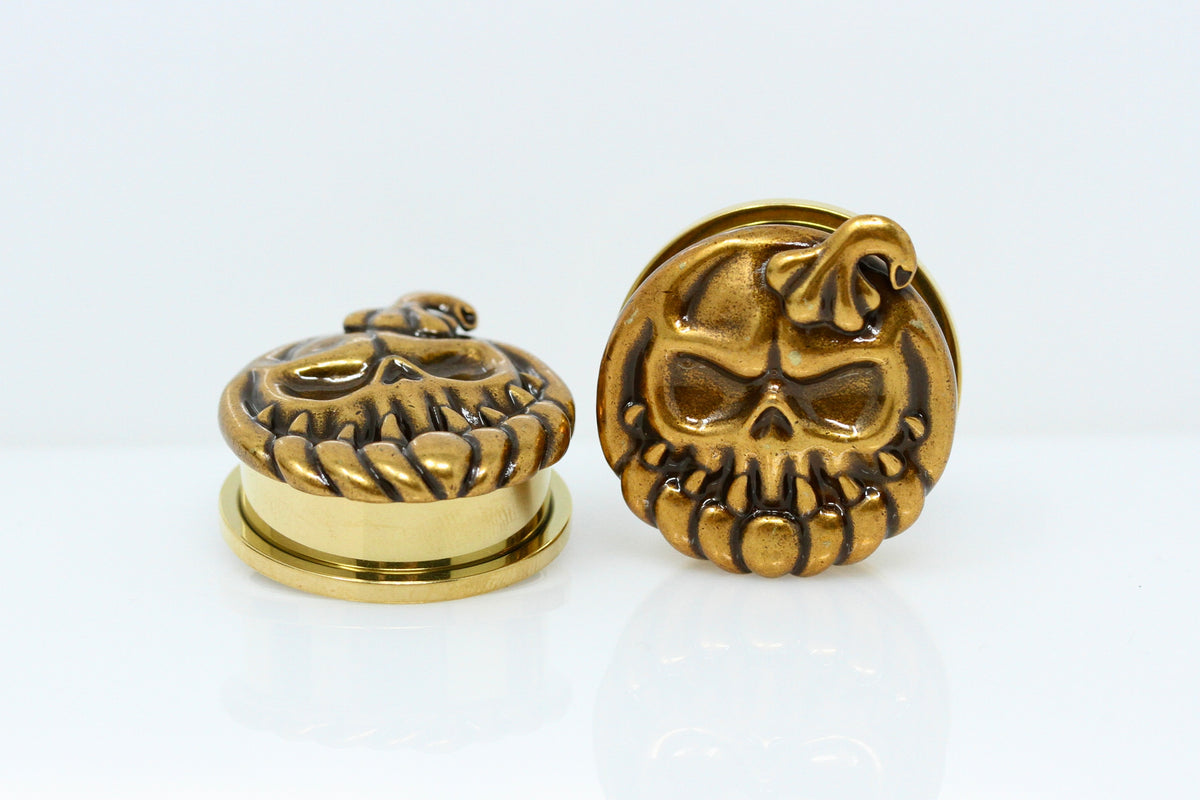 Cannibal Stainless Steel Plugs - Screw on Tunnel (Pair) - PSS254