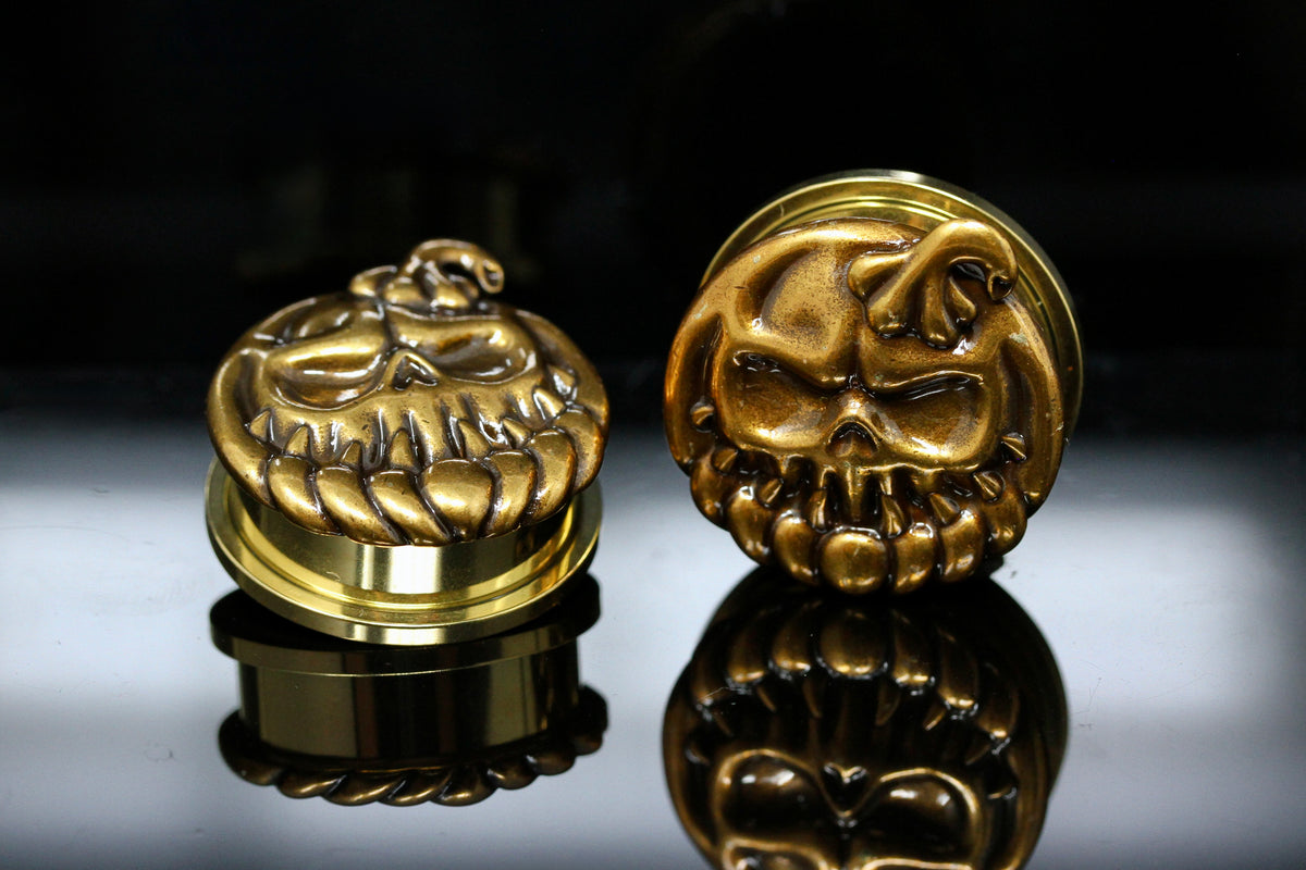 Cannibal Stainless Steel Plugs - Screw on Tunnel (Pair) - PSS254