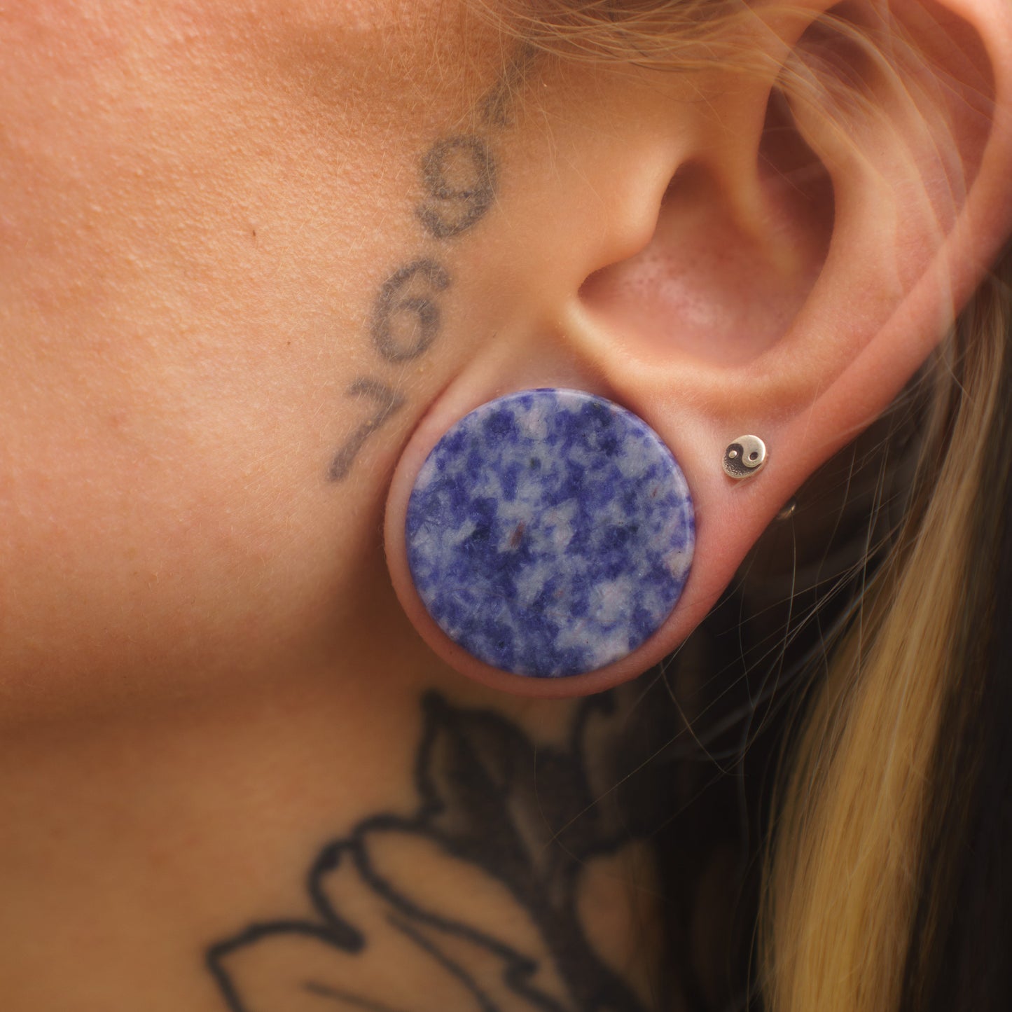 Sodalite Plugs for Stretched Ears (Pair) - PH144