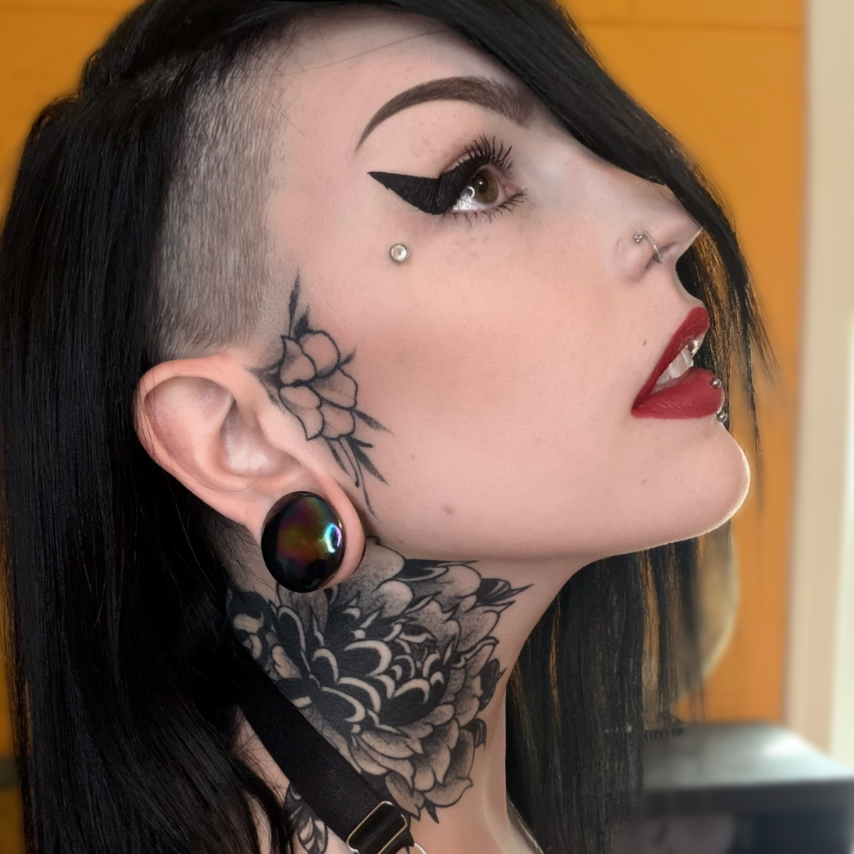 Astro Glass Double Flare Plugs (Pair) - G075