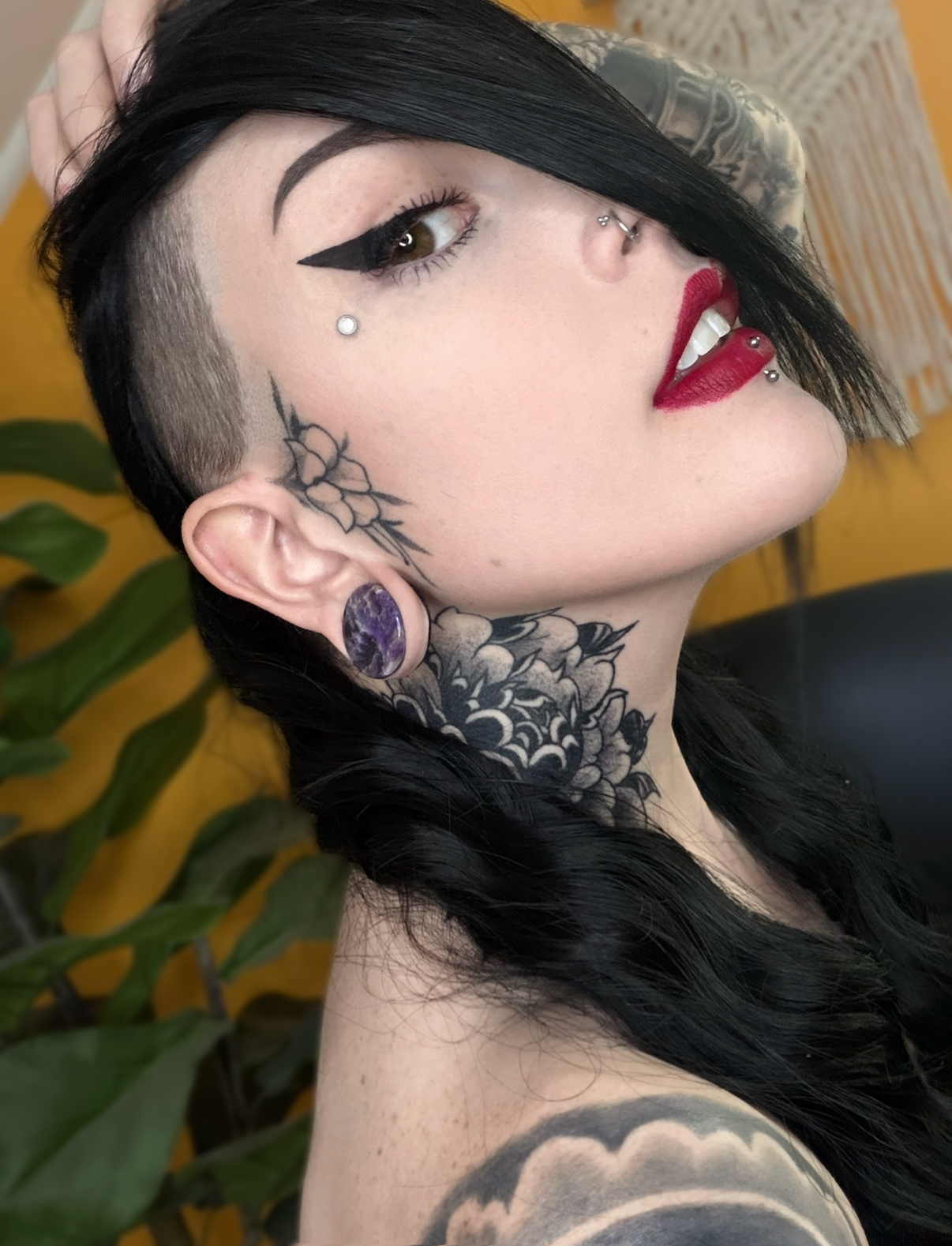 Amethyst Plugs (Pair) - PH09