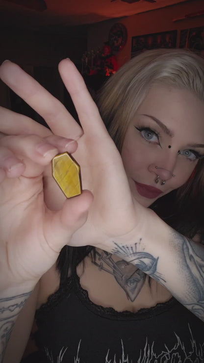 Tiger Eye Coffin Plugs - PH76