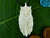 White Horned Owl Necklace - Carved bone - X031
