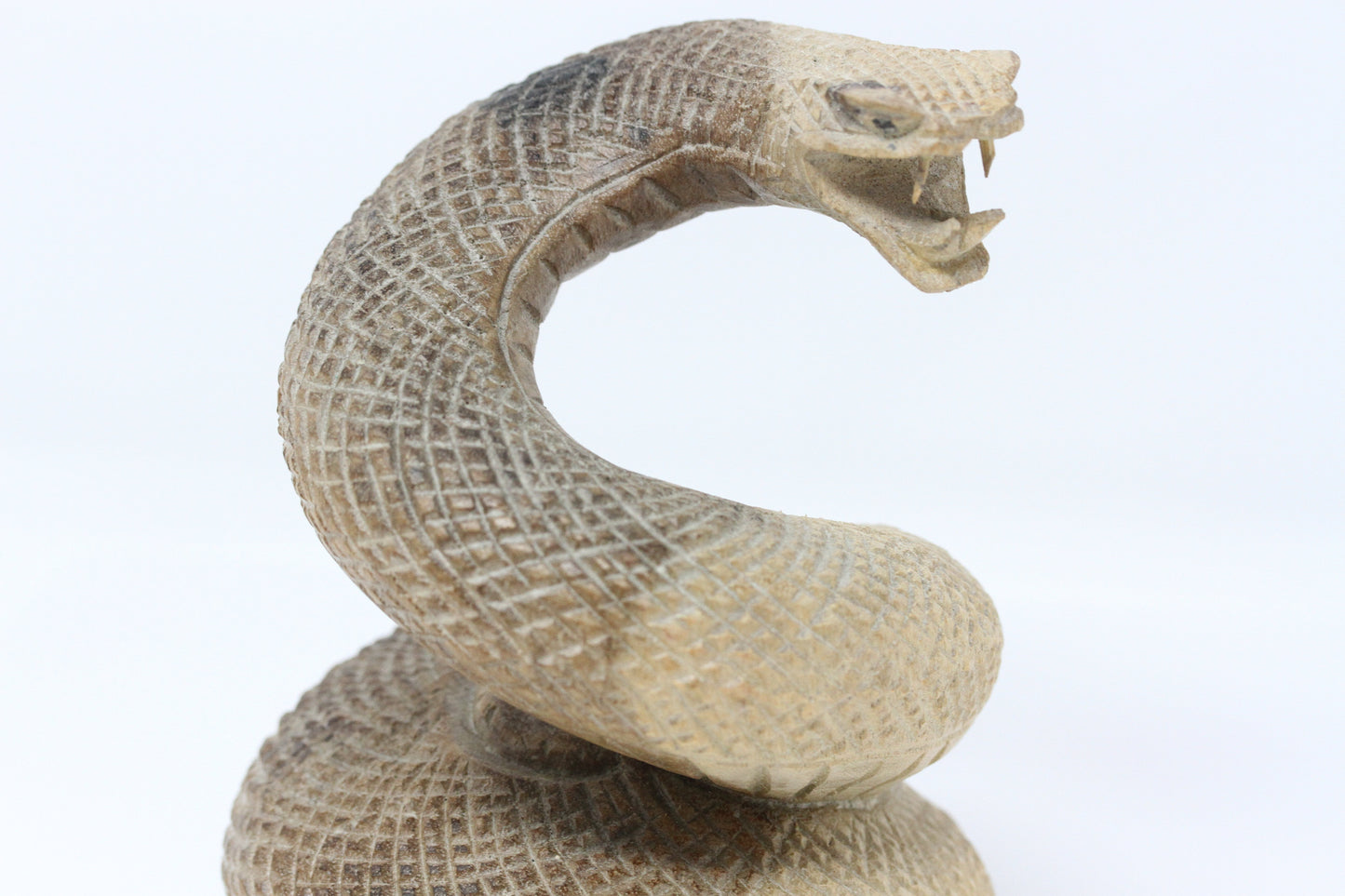 Coiled Wood Snake