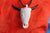 Hand Carved Bone Cow Skull Necklace - X039