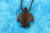 Sea Turtle Necklace - W023