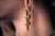 Dope Chain Ear Weights (Pair) - PSS144