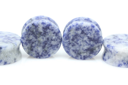sodalite plugs stretched ear gauges