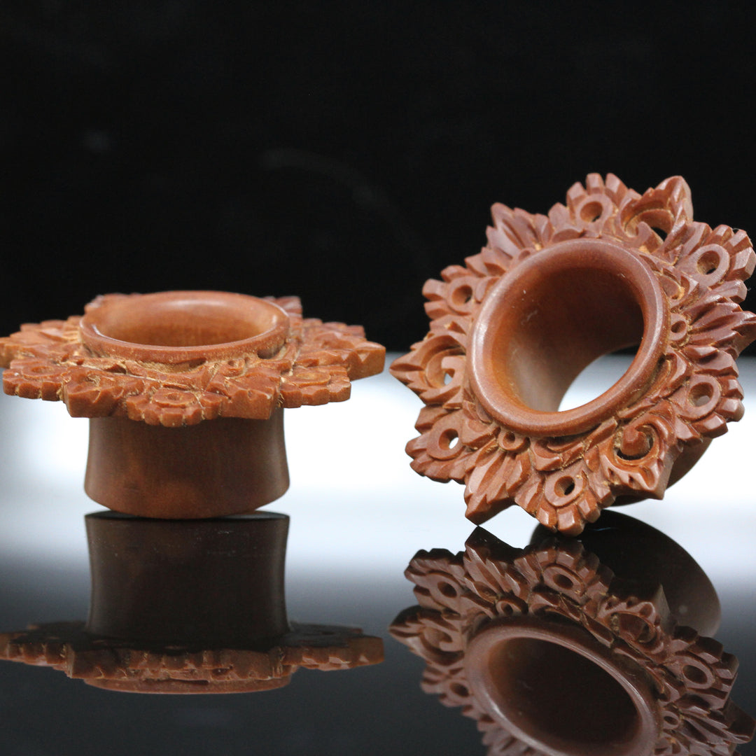 ear gauged stretched tunnels