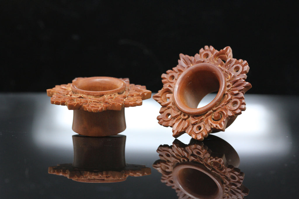 ear gauged stretched tunnels