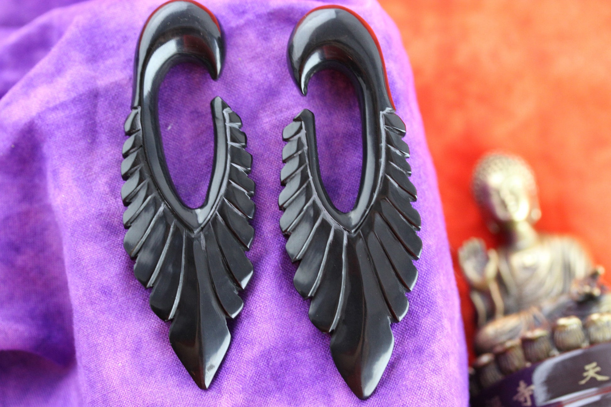 Black Feather Stretching Plugs