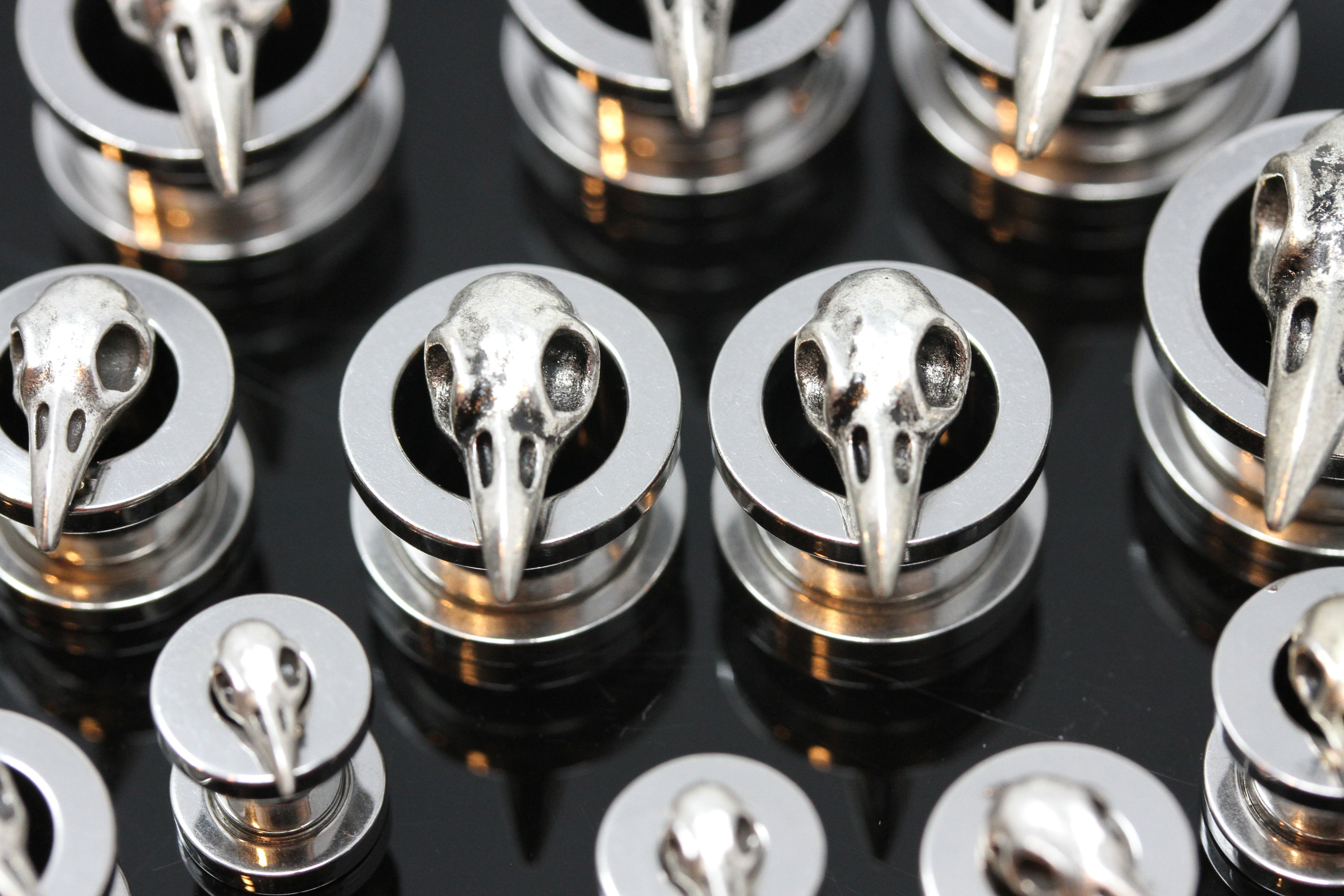 Raven Skull Stainless Steel Tunnels - Screw on Tunnel (Pair) - PSS08 ...