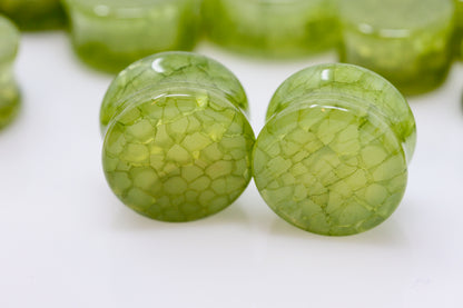 Green Dragon Glass Plugs - Group 1