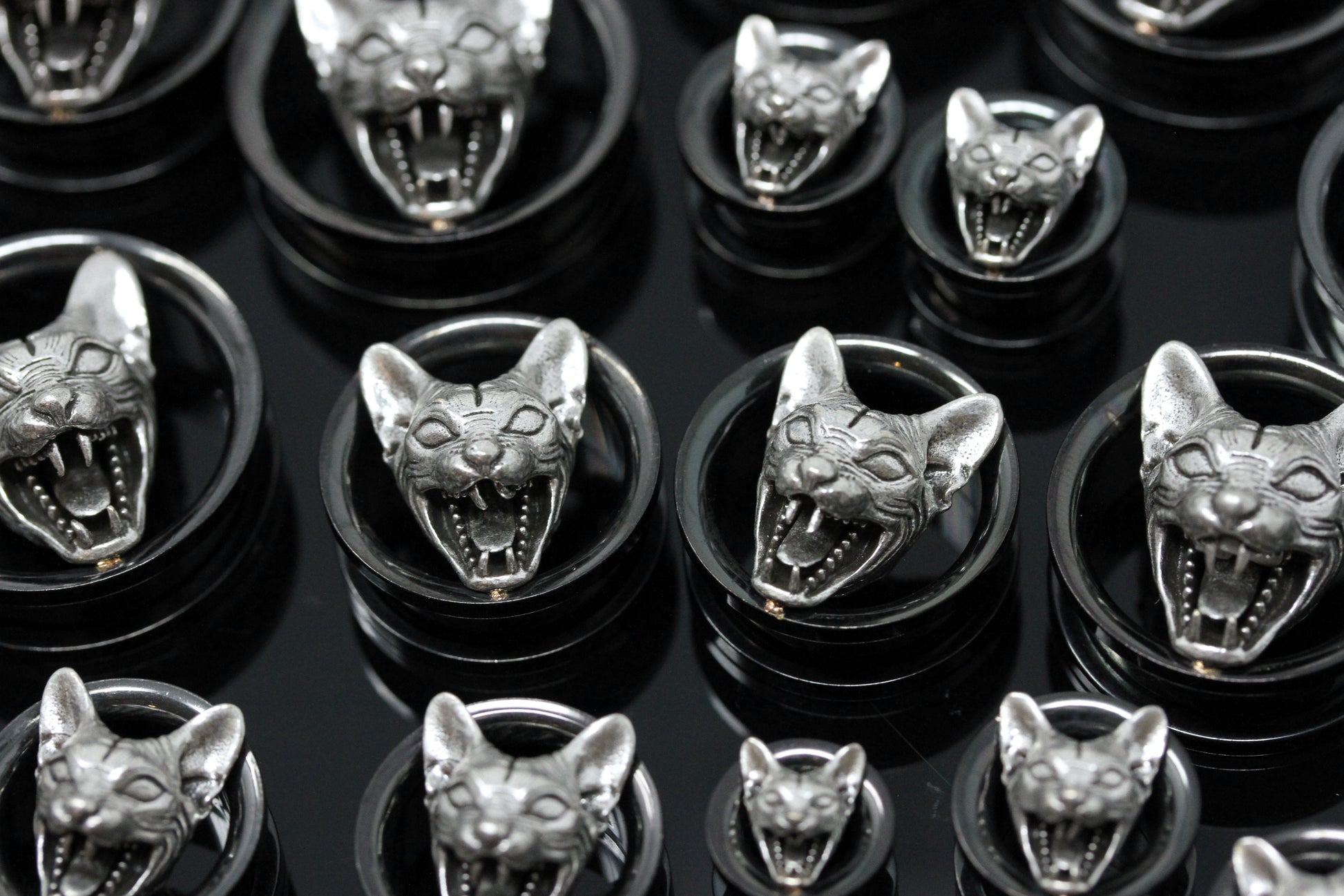 Black stainless steel cat tunnels
