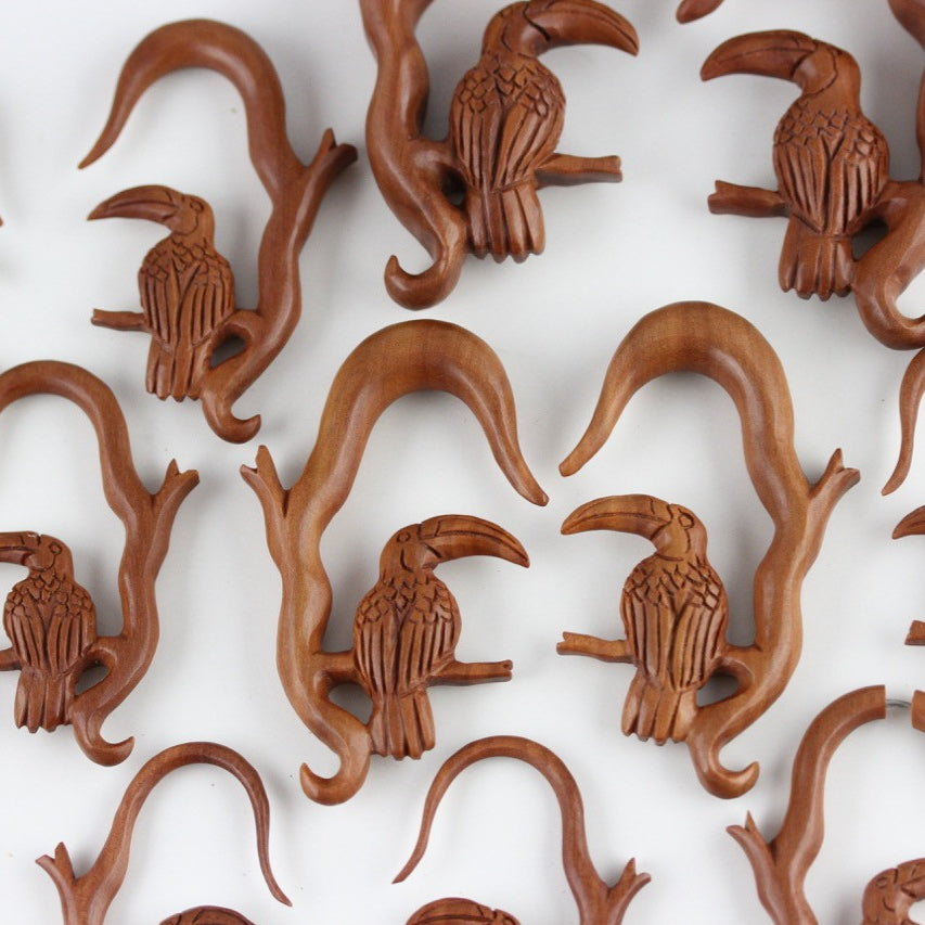Wood Toucan Hanger Plugs - Group 1