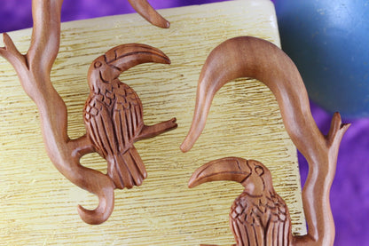 Wood Toucan Hanger Plugs- Detail