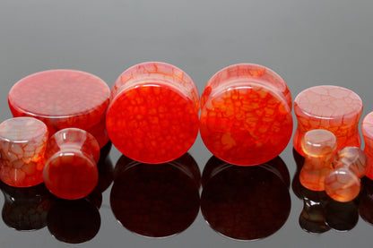Red Dragon Glass Plugs for stretched ears (Pair) - PH07
