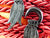 Horn Feather Hanger Plugs - Detail