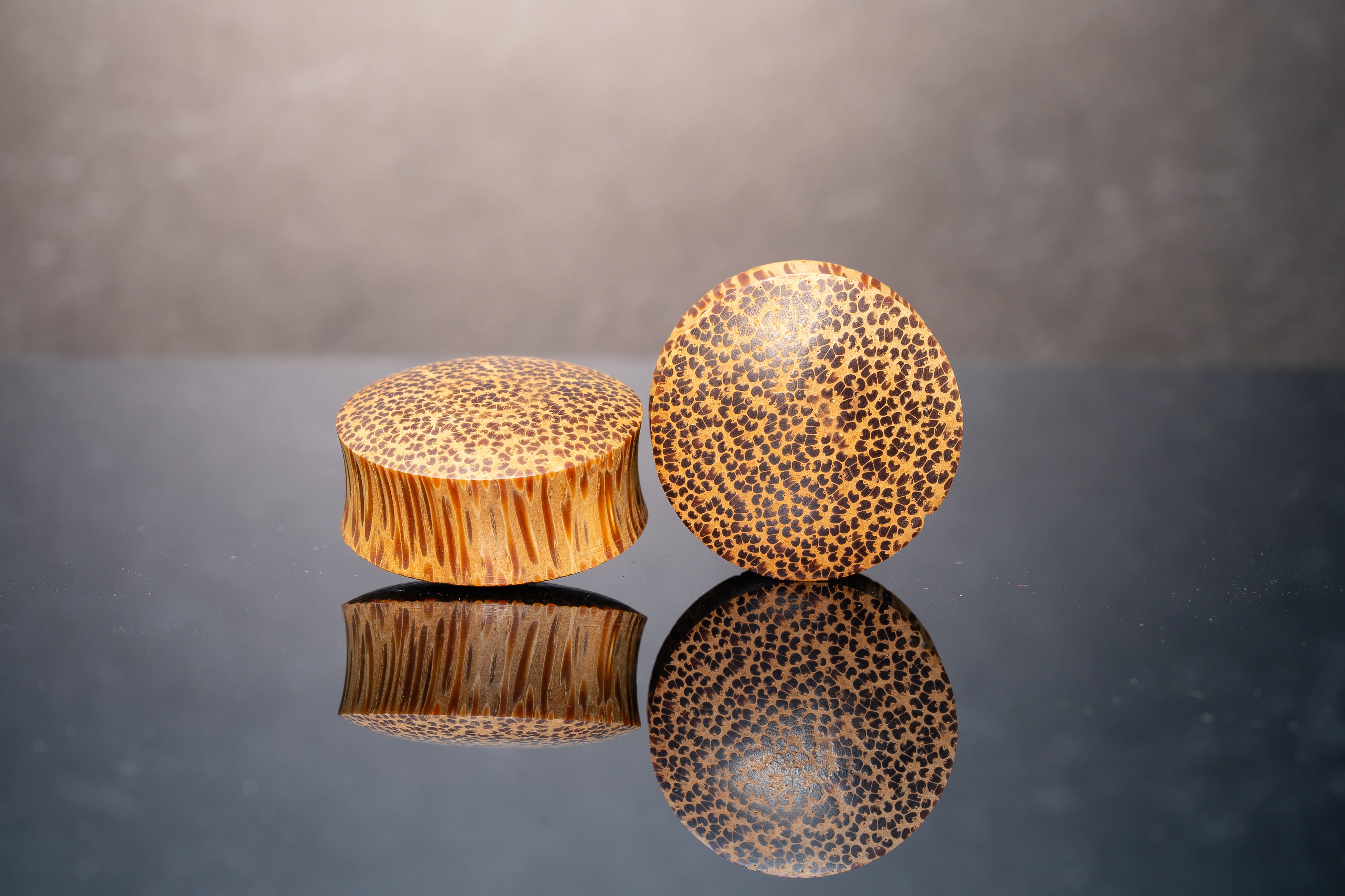 Coconut Plugs for Stretched Ears Coconut Wood Gauges Pair PA25