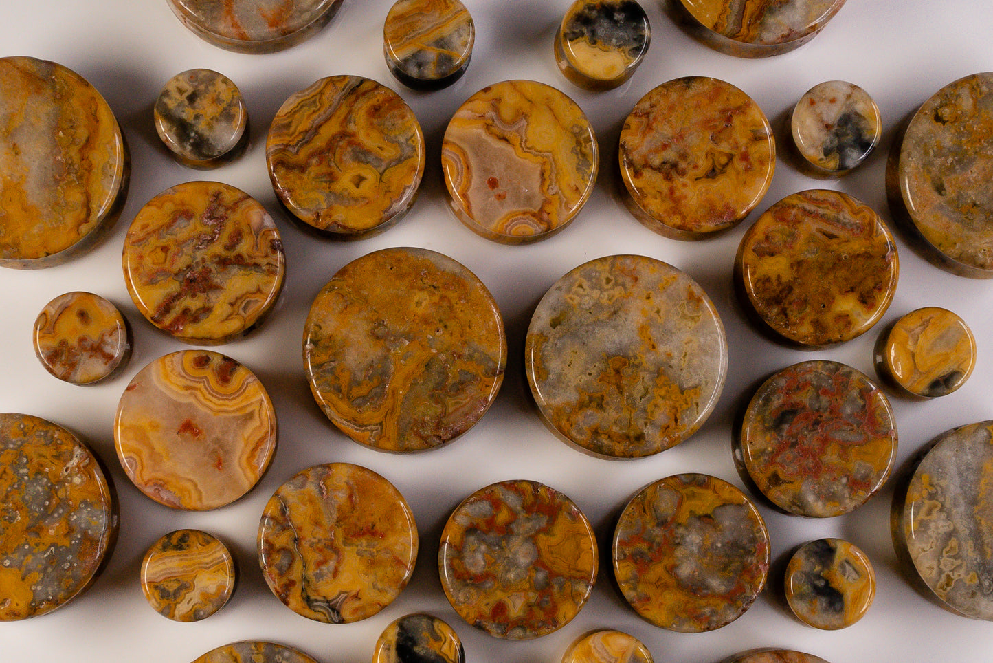 Crazy Yellow Lace Agate Plugs for Stretched Ears (Pair) - PH154